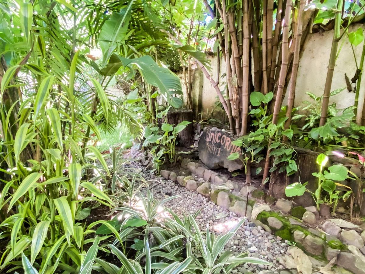 Unicorn Reborn - Peaceful Rentals San Marcos La Laguna Exterior foto